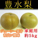 【ふるさと納税】ジューシー果汁の梨(豊水) 約5kg(ご家庭...
