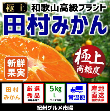 【ふるさと納税】有田みかんの最高峰【和歌山ブランド】人気の田村みかん 5Kg（Lサイズ）紀州グルメ市場※11月中旬頃〜12月下旬頃に順次発送予定