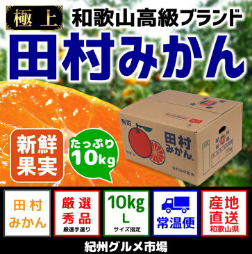 【ふるさと納税】有田みかんの最高峰【和歌山ブランド】人気の田村みかん 10Kg（Lサイズ）紀州グルメ市場※11月中旬頃〜12月下旬頃に順次発送予定