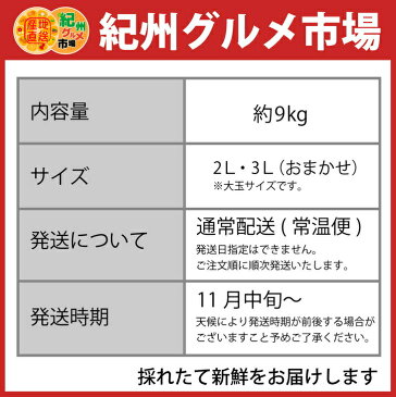 【ふるさと納税】【こだわり】有田みかん　たっぷり9kg（大玉：2L・3Lサイズ）紀州グルメ市場※北海道、沖縄県、離島への発送不可※11月中旬頃〜12月下旬頃に順次発送予定