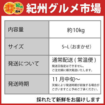 【ふるさと納税】【こだわり】有田みかん　たっぷり10kg（L〜Sサイズ）紀州グルメ市場※北海道、沖縄県、離島への発送不可※11月中旬頃〜12月下旬頃に順次発送予定