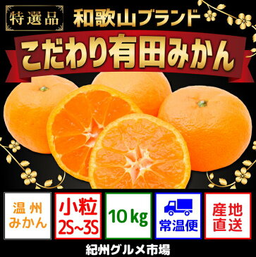 【ふるさと納税】【こだわり】有田みかん　たっぷり10kg（2S・3Sサイズ）紀州グルメ市場※北海道、沖縄県、離島への発送不可※11月中旬頃〜12月下旬頃に順次発送予定