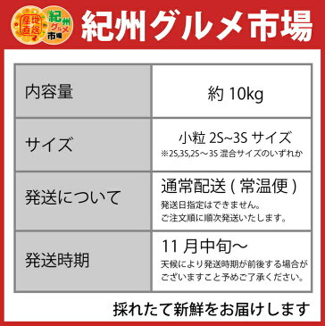 【ふるさと納税】【こだわり】有田みかん　たっぷり10kg（2S・3Sサイズ）紀州グルメ市場※北海道、沖縄県、離島への発送不可※11月中旬頃〜12月下旬頃に順次発送予定