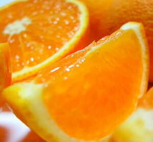 【清見オレンジ】果汁たっぷりで美味しい！人気の清見オレンジを教えて！