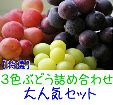 【ふるさと納税】【特撰】3色ぶどう詰め合わせ大人気セット　約2kg※北海道・沖縄・その他離島へのお届け不可※9月上旬〜9月下旬頃に順次発送予定
