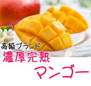 【ふるさと納税】【高級】【大玉】濃厚!こだわりの完熟マンゴー...