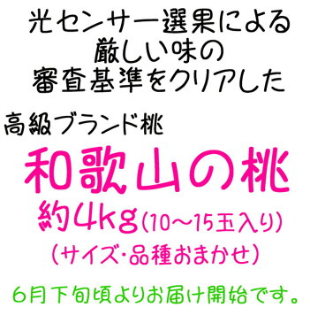 【ふるさと納税】【高級桃】和歌山の桃　約4kg※北海道・沖縄・離島地域へのお届け不可※6月下旬頃〜8月中旬頃に順次発送予定