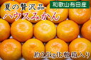 【ふるさと納税】【夏の贅沢品】有田のハウスみかん約2.5kg化粧箱入リ・赤秀品※2019年6月下旬〜...