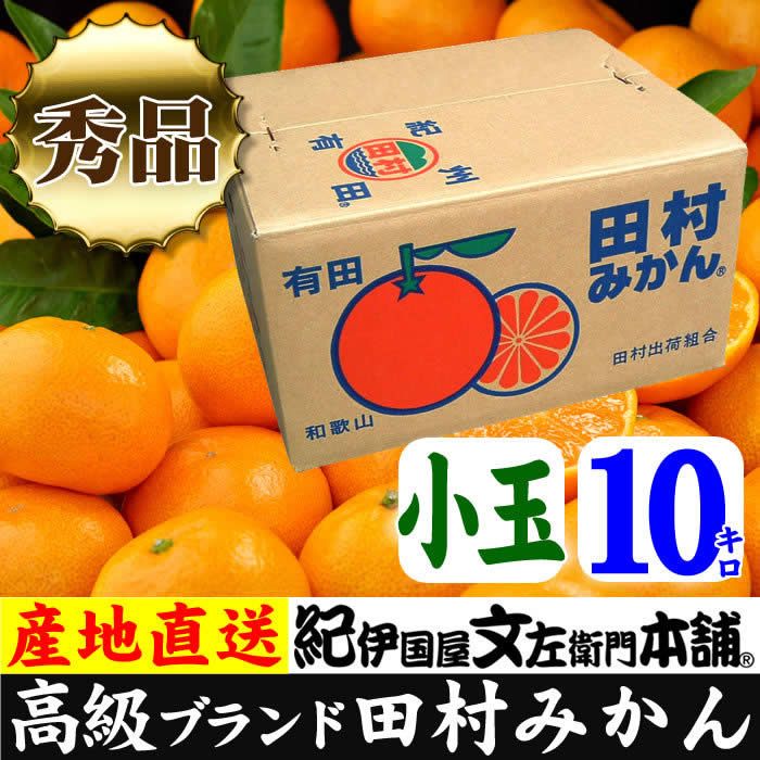 【ふるさと納税】【2024年 先行予約】田村みかん／10kg秀品【小玉サイズ】／紀州和歌山有田郡湯浅町田村地区産／最高級プレミアムブランドの田村ミカン／紀伊国屋文左衛門本舗(お届け日指定不可)