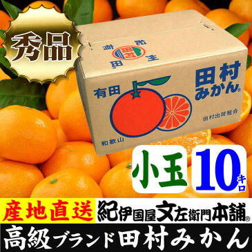 【ふるさと納税】■田村みかん／10キロ秀品【小玉サイズ】紀州和歌山有田郡湯浅町田村地区産／最高級プレミアムブランドの田村ミカン ／紀伊国屋文左衛門本舗※2020年11月下旬〜2021年1月中旬頃に順次発送予定（お届け日指定不可）