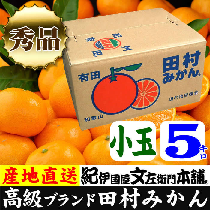 【ふるさと納税】【2024年 先行予約】田村みかん／5kg秀品【小玉サイズ】／紀州和歌山有田郡湯浅町田村地区産／最高級プレミアムブランドの田村ミカン／紀伊国屋文左衛門本舗(お届け日指定不可)