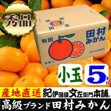 【ふるさと納税】■田村みかん／5キロ秀品【小玉サイズ】紀州和歌山有田郡湯浅町田村地区産／最高級プレミアムブランドの田村ミカン ／紀伊国屋文左衛門本舗※2020年11月下旬〜2021年1月中旬頃に順次発送予定（お届け日指定不可）