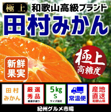 【ふるさと納税】有田みかんの最高峰【和歌山ブランド】人気の田村みかん 5kg（Sサイズ）紀州グルメ市場※11月中旬頃〜12月下旬頃に順次発送予定