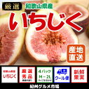 【ふるさと納税】≪和歌山県産≫いちじく たっぷり4パック 紀...