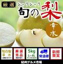 【ふるさと納税】シャリシャリ食感 旬の梨 幸水 5Kg(L〜...