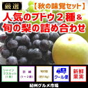 【ふるさと納税】【秋の味覚セット】人気のブドウ2種&旬の梨の...