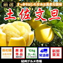 【ふるさと納税】土佐文旦(大玉:2L〜4L)たっぷり10kg...