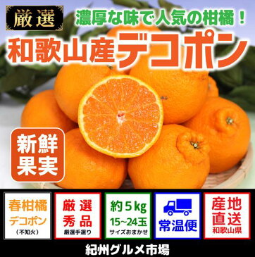 【ふるさと納税】和歌山のデコポン　約5kg〔15〜24玉〕紀州グルメ市場※2月上旬頃〜3月中旬頃に順次発送予定