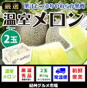 【ふるさと納税】【秀選】温室アールスメロン 大玉(2玉) 紀...