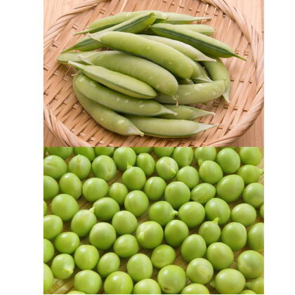 和歌山県産 うすいえんどう 約2kg Lサイズ※2019年3月頃より順次発送予定