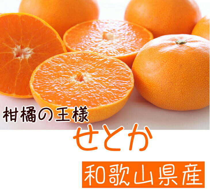 ふるさと納税 希少 3kg※2023年4月上旬より4月下旬順次発送予定 国産濃厚ブラッドオレンジ 高級柑橘 タロッコ種