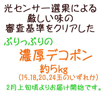 【ふるさと納税】厳選！！和歌山の濃厚デコポン※沖縄地域へのお届け不可※平成31年2月上旬頃より順次発送予定