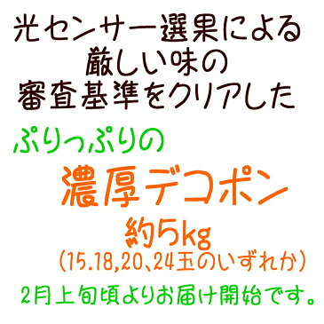 【ふるさと納税】厳選！！和歌山の濃厚デコポン※沖縄地域へのお届け不可※平成31年2月上旬頃より順次発送予定　◆