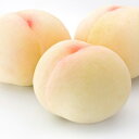 【ふるさと納税】高級ブランド桃 あら川の桃 約2kg ※20...