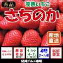 【ふるさと納税】〔和歌山ブランド〕《3月発送分》完熟いちご ...