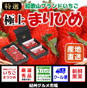 【ふるさと納税】〔和歌山ブランド〕《2月発送分》極上まりひめ...