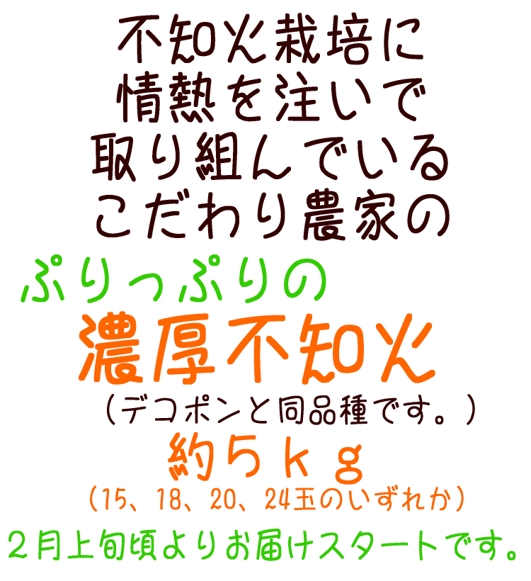 【ふるさと納税】【先行予約】こだわり農家の濃厚不知火（デコポンと同品種）15〜24玉（約5kg）※2022年2月上旬頃から順次発送予定