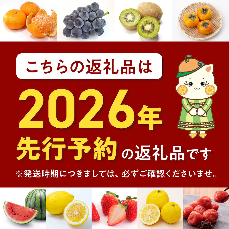【ふるさと納税】【2026年先行予約】【限定】 高評価★4.82 赤秀 有田みかん 2kg 2S~Mサイズ おまかせ 手作業 新鮮 濃厚 甘み ほどよい 酸味 バランス 有田 みかん 温州みかん フルーツ 果物 柑橘 国産 食品 食べ物 おやつ デザート フレッシュ 産地直送 お取り寄せ 湯浅町