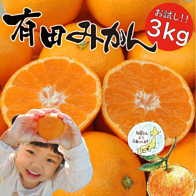 本場『有田みかん』を是非一度！「はじめまして 有田みかん（和歌山県湯浅町産）」 お試し 3kg ／ORYY推奨商品【ミカン 蜜柑 柑橘 温州みかん 和歌山 有田】