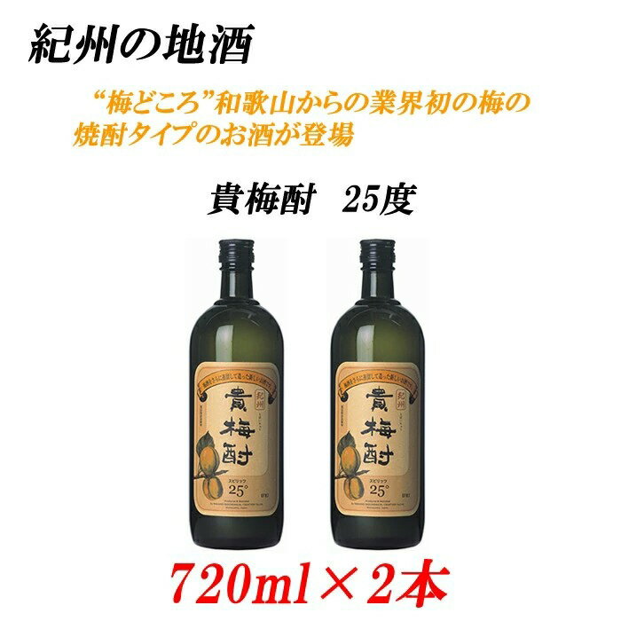 【ふるさと納税】紀州の地酒 貴梅酎 きばいちゅう 25度 720ml×2本【梅酒 紀州 南高梅 和歌山 果実酒】