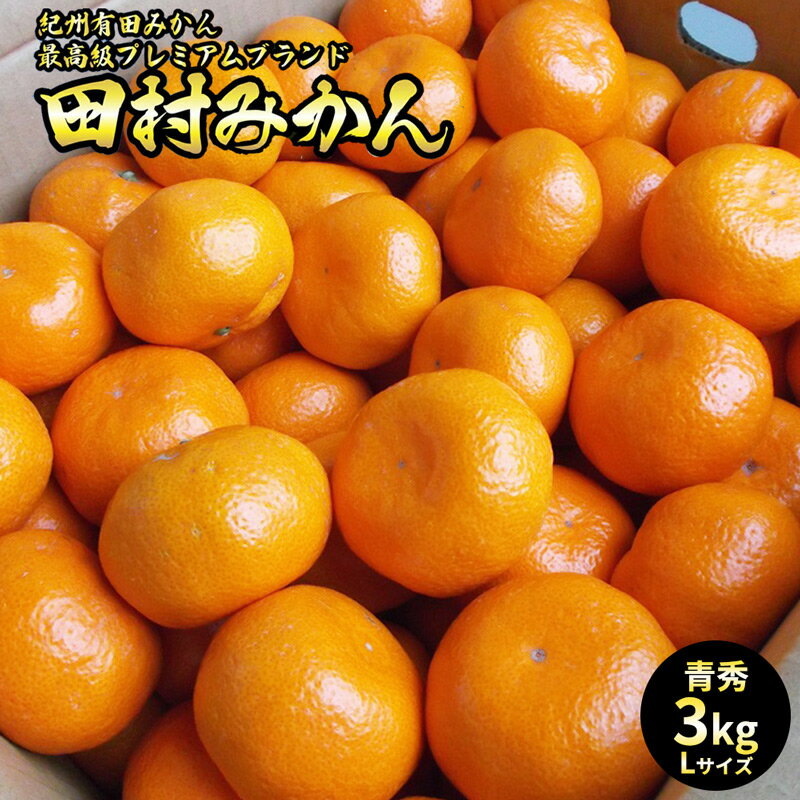 【ふるさと納税】「高級 田村みかん」 青秀 約3kg Lサイズ 和歌山県有田産 有田みかん【ミカン 蜜柑 柑橘 温州みかん 和歌山産 有田みかん】のサムネイル