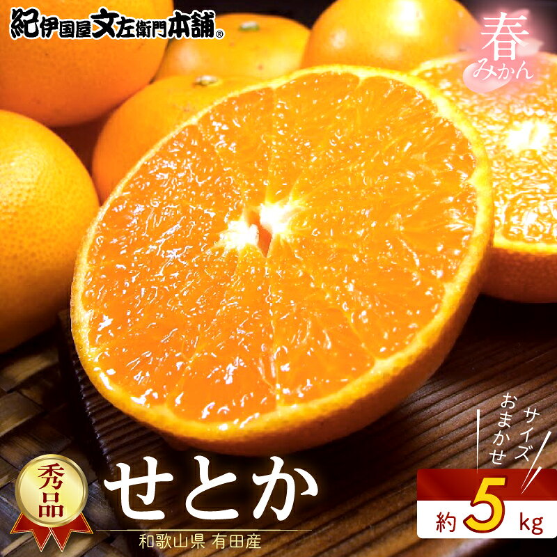 【ふるさと納税】【2027年先行予約】せとか 秀品 約5kg 和歌山県有田産 春みかん 春柑橘 (果実サイズ...