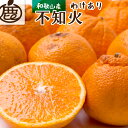 【ふるさと納税】＜先行予約＞家庭用 不知火5kg+150g（傷み補償分）【デコポンと同品種・人気の春みかん】【わけあり・訳あり】＜2月より発送＞ ※北海道・沖縄・離島への配送不可 //dekopon