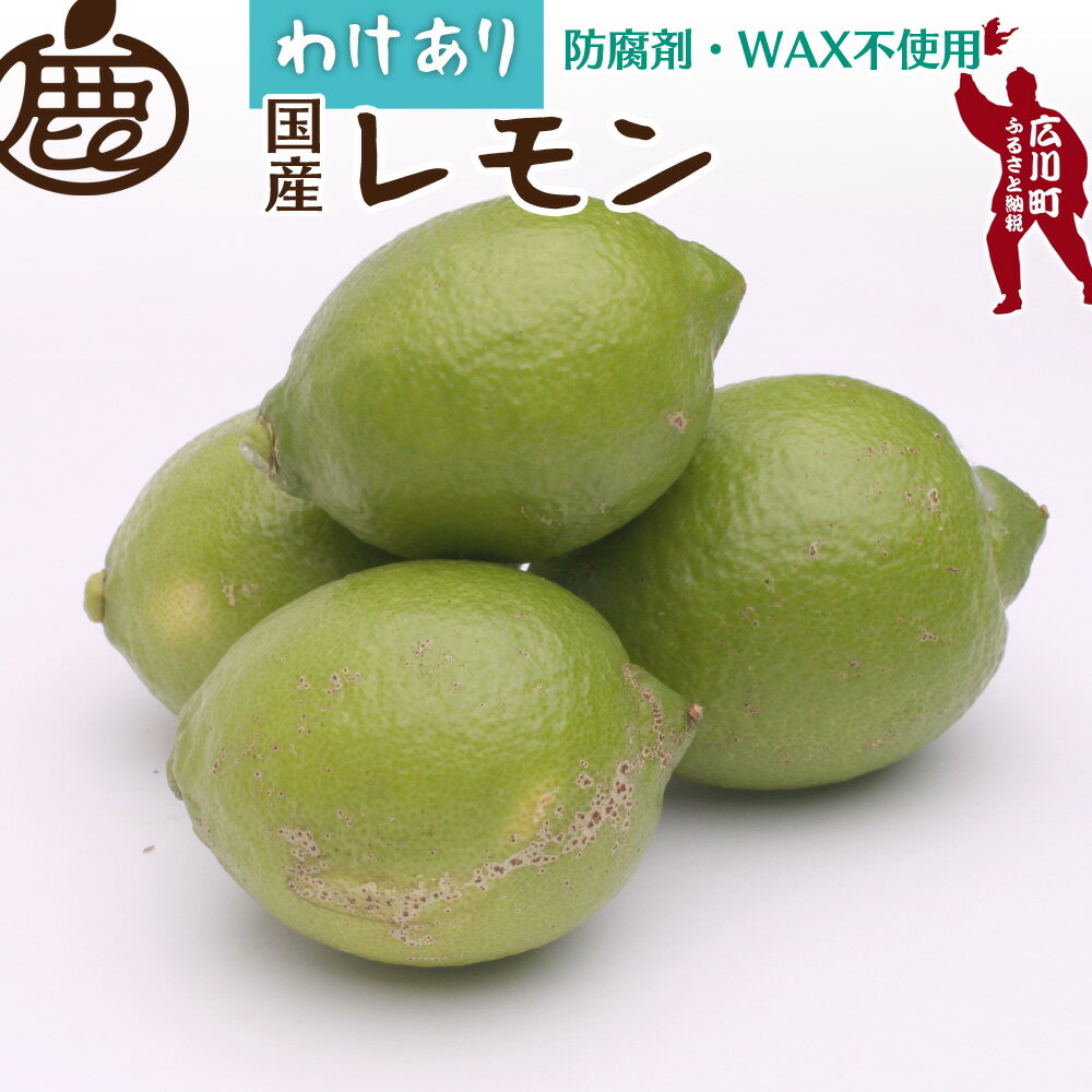 【ふるさと納税】 黒潮 レモン 家庭用 / 国産レモン 訳あり 和歌山 有田 柑橘 防腐剤・WAX不使用 5000円 ※9月上旬〜6月中旬に順次発送 ※北海道・...