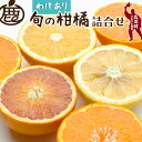 【ふるさと納税】家庭用 柑橘詰合せ【訳あり・わけあり】【有田