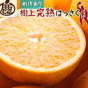 八朔は江戸時代から作られている柑橘で、和歌山県で約70%が栽培されています。 病気に強い等の理由で盛んに栽培されましたが、様々な新品種の誕生等により生産量は減少し続け、現在は最盛期の十分の一近くまで減っています。 しかし、昨今の高糖度柑橘の流行のなか、苦みの効いた濃厚かつサッパリとした味わいで、八朔が再評価されています。 また、八朔には栄養成分が豊富で、苦味成分のナリンギンは機能性成分で、毛細血管の強化、血流改善、抗アレルギー、抗酸化、食欲抑制などの効果があります。 他にも、ビタミンC、クエン酸、オーラブテンなどが含まれており、アンチエイジング、生活習慣病予防、ガン予防、ダイエット効果、美肌効果など、様々な効果が期待できます。 和歌山県有田地方の恵まれた自然で育った八朔を農家直送でお届けいたします。 ■注意事項/その他 ※発送時期になりますと、提供価格・内容量を変更する場合がございます。 ※写真はイメージです。 ※サイズ混合です。 ※農薬の使用を極力控えて栽培しているため、外見がきれいでない傾向がございます。 ※天候等により出荷時期が前後する場合がございます。 ※運送中の傷み等を考慮し、3％増量して発送させていただきます。 ※ご不在等により発送から4日を超えてお受け取りになった場合、果実に傷みが生じていても返品・交換には応じかねます。 ※生鮮食品につき、北海道・沖縄・離島へのお届けはできません。 以上、予めご了承の上お申し込みください。 商品説明 名称 厳選 樹上完熟はっさく 産地 国産(和歌山県有田産) 内容量 ・2kg+60g（傷み補償分） ・4kg+120g（傷み補償分） ・6kg+180g（傷み補償分） ・7.5kg+225g（傷み補償分） ※お選びください 保存方法 必ずダンボールから取出し、冷蔵庫または風通しの良い冷暗所で保存してください。 配送不可地域 北海道、沖縄、離島 提供元 池田鹿蔵みかん農園@広川町 （池田農園株式会社） 申込期間 〜2024年4月30日 発送時期 2024年4月上旬〜5月下旬頃 ・寄附申込みのキャンセル、返礼品の変更・返品はできません。あらかじめご了承ください。 ・ふるさと納税よくある質問はこちら