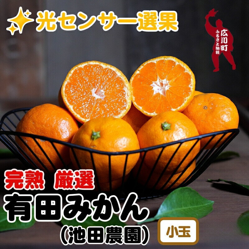 厳選 小玉な有田みかん [※2024年11月上旬〜2025年1月下旬頃に順次発送予定]※北海道・沖縄・離島への配送不可 / フルーツ 小さい 果物 果実 みかん 蜜柑 くだもの //mandarin