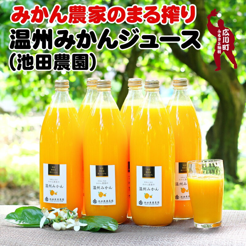 【ふるさと納税】 まる搾り みかんジュース ※北海道・沖縄・