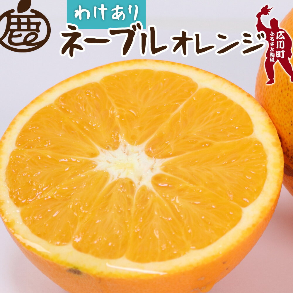 ネーブル オレンジ 訳あり 光センサー 選果 / 家庭用 甘い 和歌山 柑橘 1kg 5kg 10kg ※2月中旬〜3月中旬頃に順次発送予定 ※北海道・沖縄・離島への配送不可 //dekopon