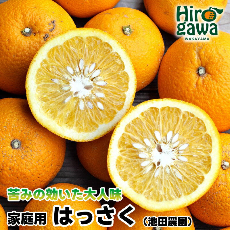 家庭用 はっさく [ 八朔 ] [ わけあり 訳あり ] 5000円 6000円 8000円 11000円 14000円 ※1月上旬〜4月上旬頃に順次発送予定 ※北海道・沖縄・離島への配送不可 // hassaku