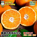 【ふるさと納税】 鹿蔵の 有田 みかん 訳あり 光センサー 選果 / 温州みかん 有田みかん 甘い 家庭用 和歌山 柑橘 2kg 3kg 5kg 10kg 50...