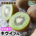 【ふるさと納税】 キウイ 家庭用 / キウイフルーツ 訳あり 果物 和歌山 1kg 3kg 5kg 5000円 わけあり 人気 ※11月中旬~5月中旬頃に順次発...