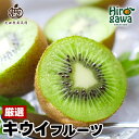 キウイ 厳選 / キウイフルーツ 高級 果物 和歌山 1kg 3kg 5kg 6000円 ※11月中旬~5月中旬頃に順次発送予定 ※北海道・沖縄・離島への配送不可 //hokaf