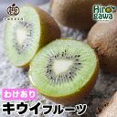 キウイ 家庭用 / キウイフルーツ 訳あり 果物 和歌山 1kg 3kg 5kg 5000円 わけあり 人気 ※11月中旬~5月中旬頃に順次発送予定 ※北海道・沖縄・離島への配送不可 //hokaf