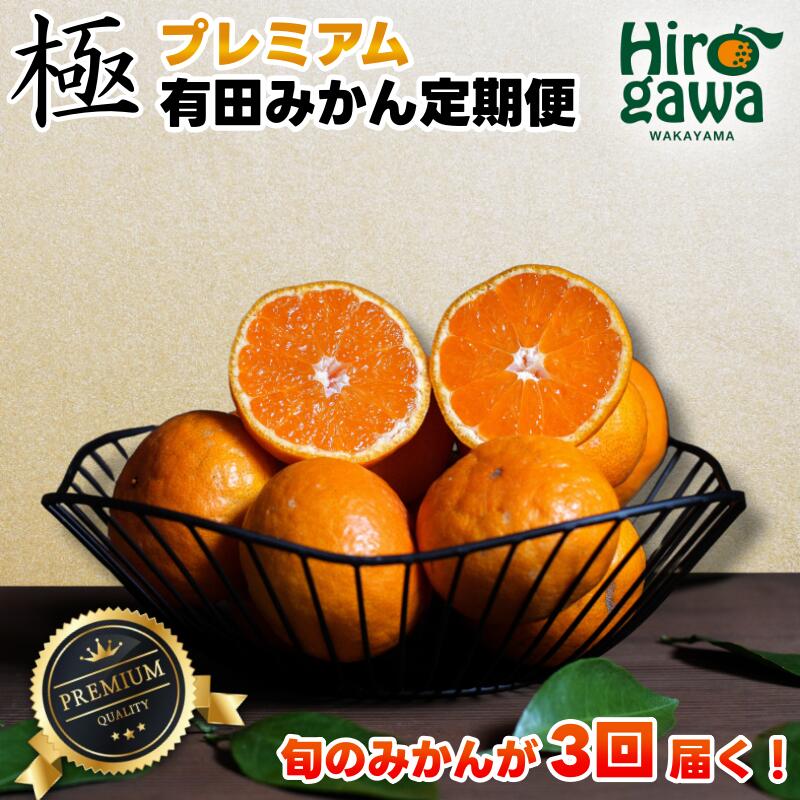 【ふるさと納税】 極プレミアム 有田 みかん 定期便 【全3回】 / 温州みかん 有田みかん 甘い 厳選 高級 和歌山 有田 1kg 5kg 10kg ※北海道・沖縄・離島への配送不可 //teiki