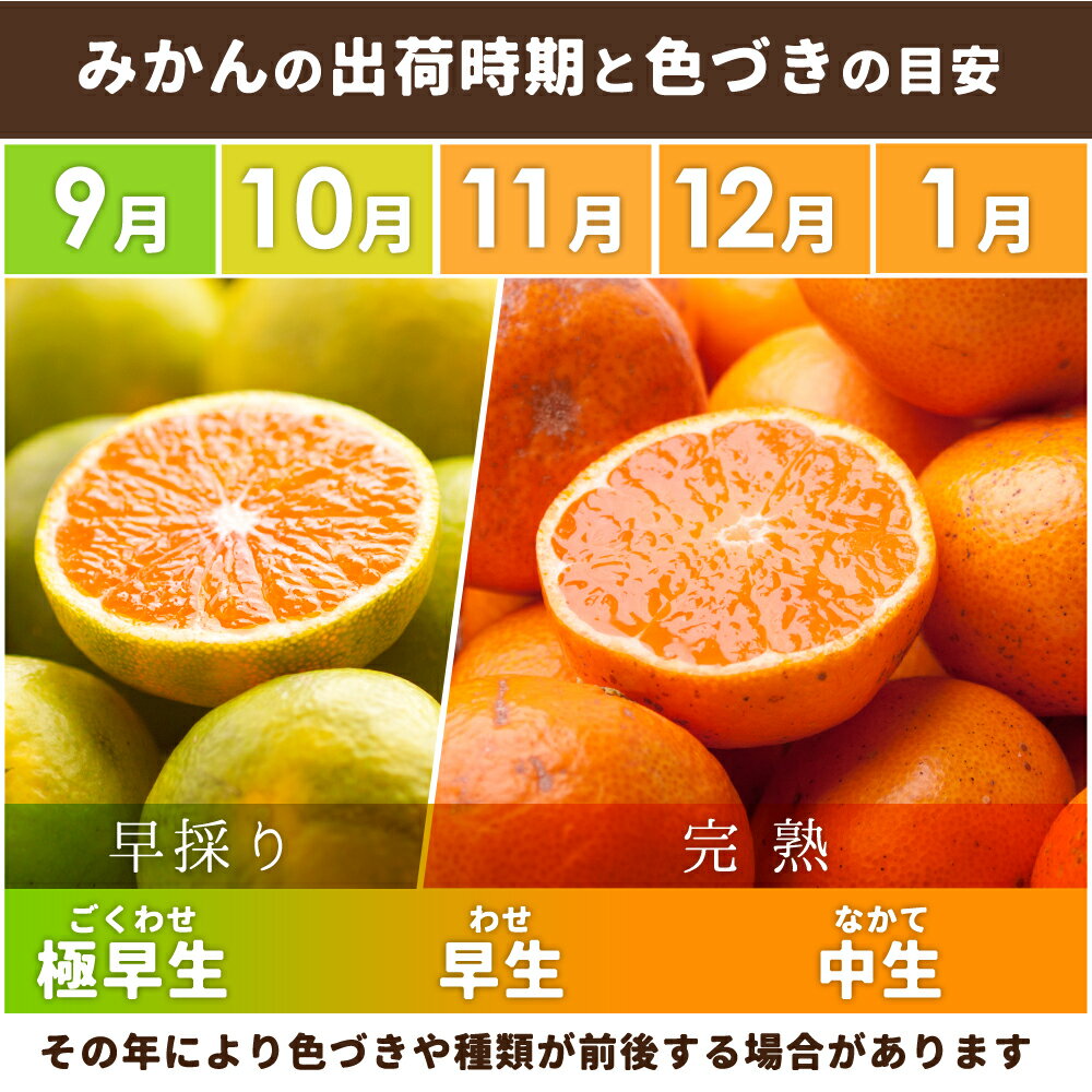 【ふるさと納税】 極プレミアム 有田 みかん 定期便 【全3回】 / 温州みかん 有田みかん 甘い 厳選 高級 和歌山 有田 1kg 5kg 10kg ※北海道・沖縄・離島への配送不可 //teiki